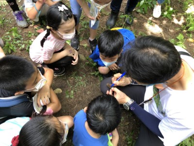 圖5. 透過正確操網捕捉標放教學，讓小朋友了解揭密紫斑蝶遷徙路徑必要的標放作業。（新竹林管處提供）